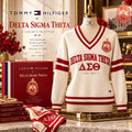 Premium V-Neck Sweater HANNN TND DST 1410269
